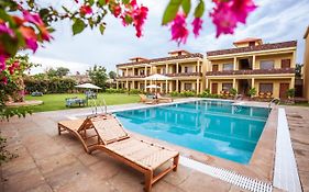 Rajbagh By Aaryam